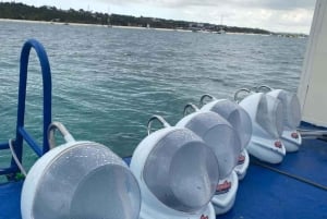 Zanzibar: Havvandring og hesteridning.