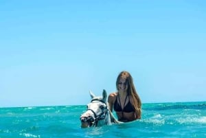 Zanzibar: Havvandring og hesteridning.