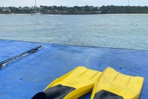 Zanzibar: Havvandring og hesteridning.