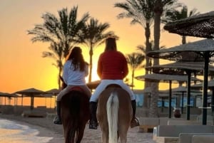 Zanzibar: Havvandring og hesteridning.