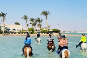 Zanzibar: Havvandring og hesteridning.