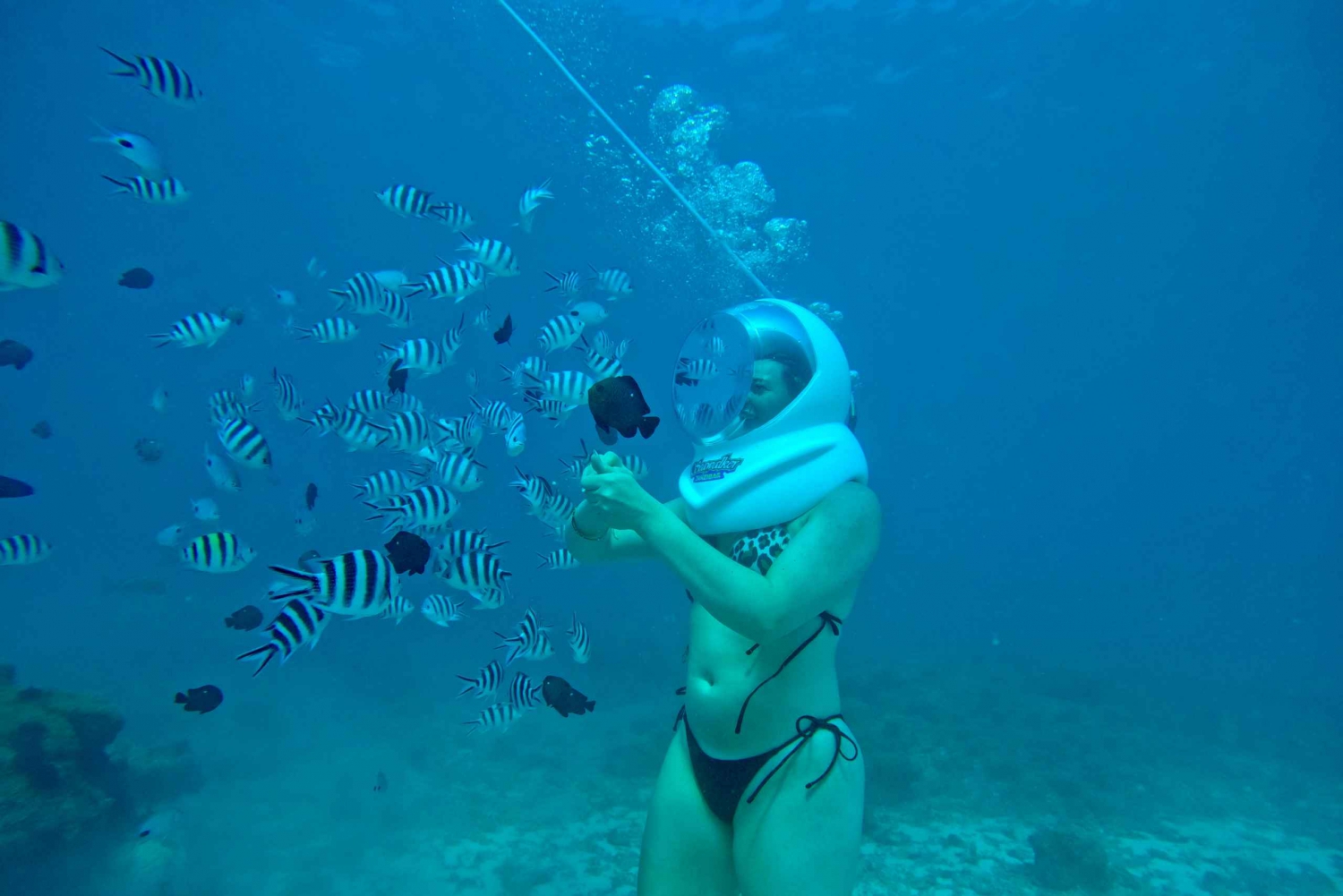 Experiência de caminhada subaquática em Zanzibar, sem necessidade de saber nadar