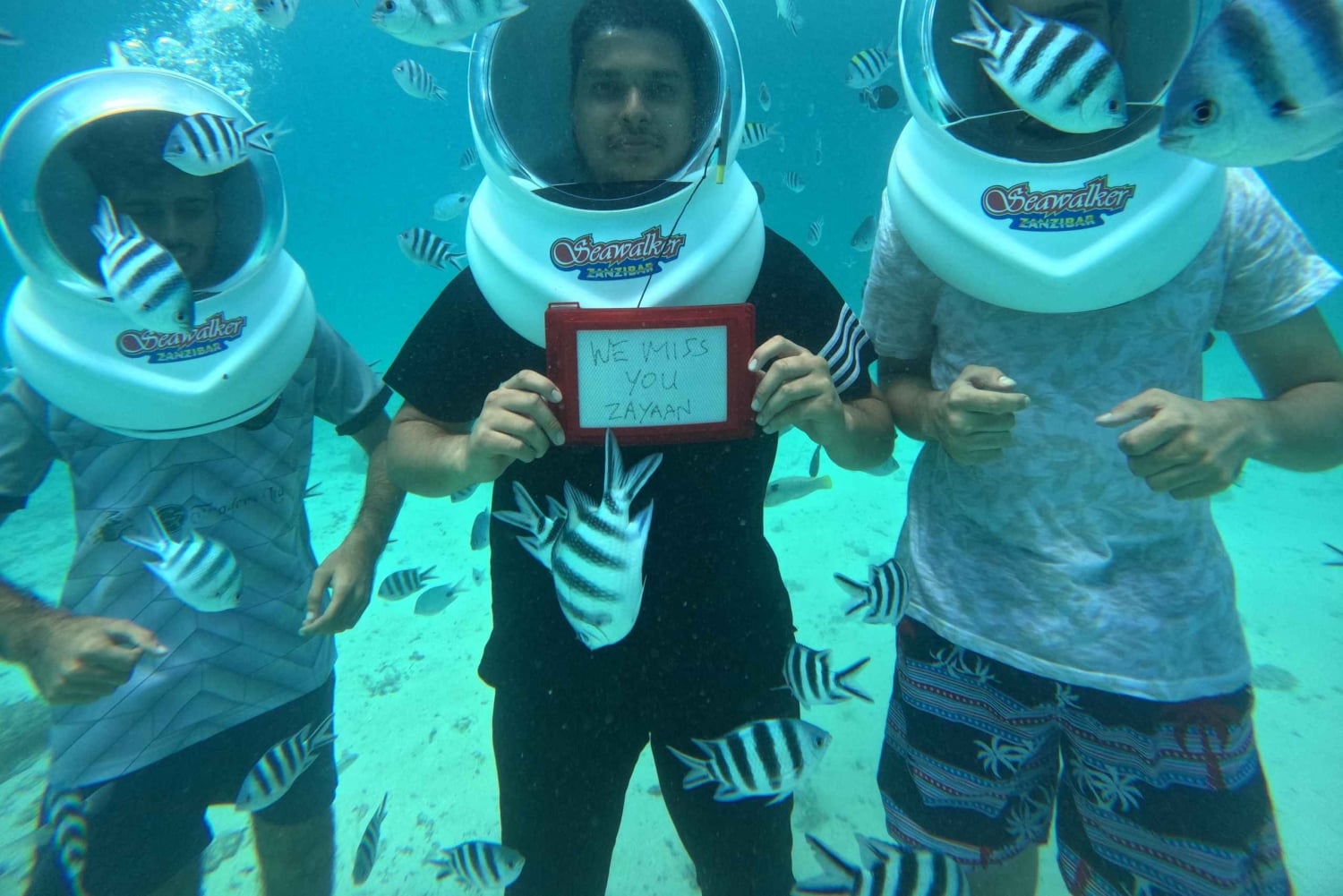 Zanzibar: Seawalking och simning med sköldpaddor Tour