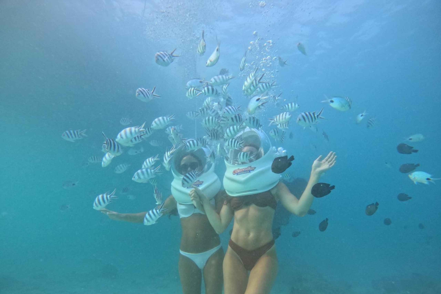 Zanzibar: Seawalking och simning med sköldpaddor Tour