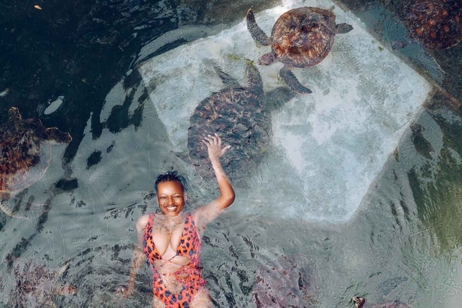 Zanzibar: Seawalking och simning med sköldpaddor Tour