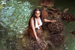 Zanzibar: Seawalking och simning med sköldpaddor Tour