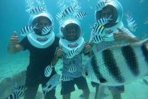 Zanzibar: Seawalking och simning med sköldpaddor Tour