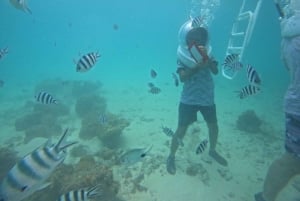 Zanzibar: Seawalking och simning med sköldpaddor Tour