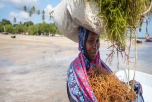 Spice Farm, Stone Town, Prison Island & Nakupenda sand bank