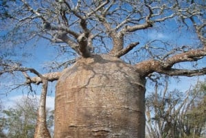 Spice Farm, Stone Town, Prison Island & Nakupenda sand bank