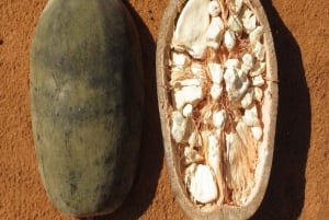 Spice Farm, Stone Town, Prison Island & Nakupenda sand bank