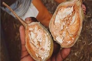 Spice Farm, Stone Town, Prison Island & Nakupenda sand bank