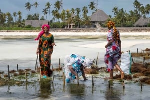 Zanzibar: Seaweed and Paje Village experience Tour