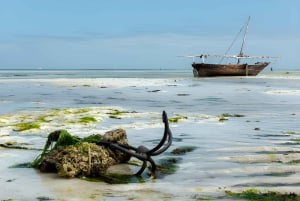 Zanzibar: Seaweed and Paje Village experience Tour