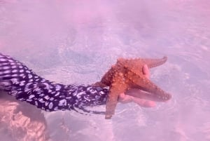 Zanzibar: tour della fattoria di alghe e stelle marine