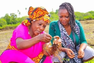 Zanzíbar: tour sobre el cultivo de algas y el empoderamiento de las mujeres