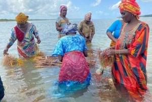 Zanzíbar: tour sobre el cultivo de algas y el empoderamiento de las mujeres