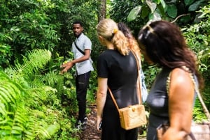 Zanzibar : Secret Beach, Kuza Cave and Jozani with transfer
