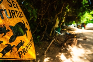 Sansibar : Secret Beach, Kuza-luola ja Jozani kuljetuksineen.