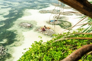 Sansibar : Secret Beach, Kuza-luola ja Jozani kuljetuksineen.