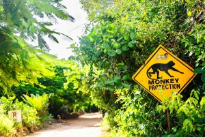 Sansibar : Secret Beach, Kuza-luola ja Jozani kuljetuksineen.