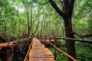 Sansibar : Secret Beach, Kuza-luola ja Jozani kuljetuksineen.