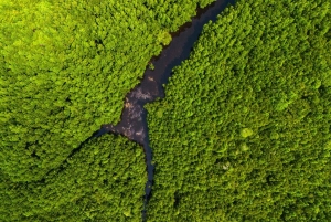Sansibar : Secret Beach, Kuza-luola ja Jozani kuljetuksineen.