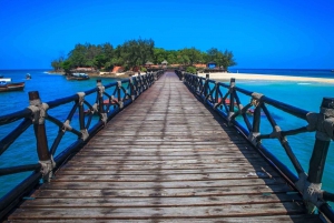 Zanzibar -Selous National Park/ 1 - Day Safari with flights