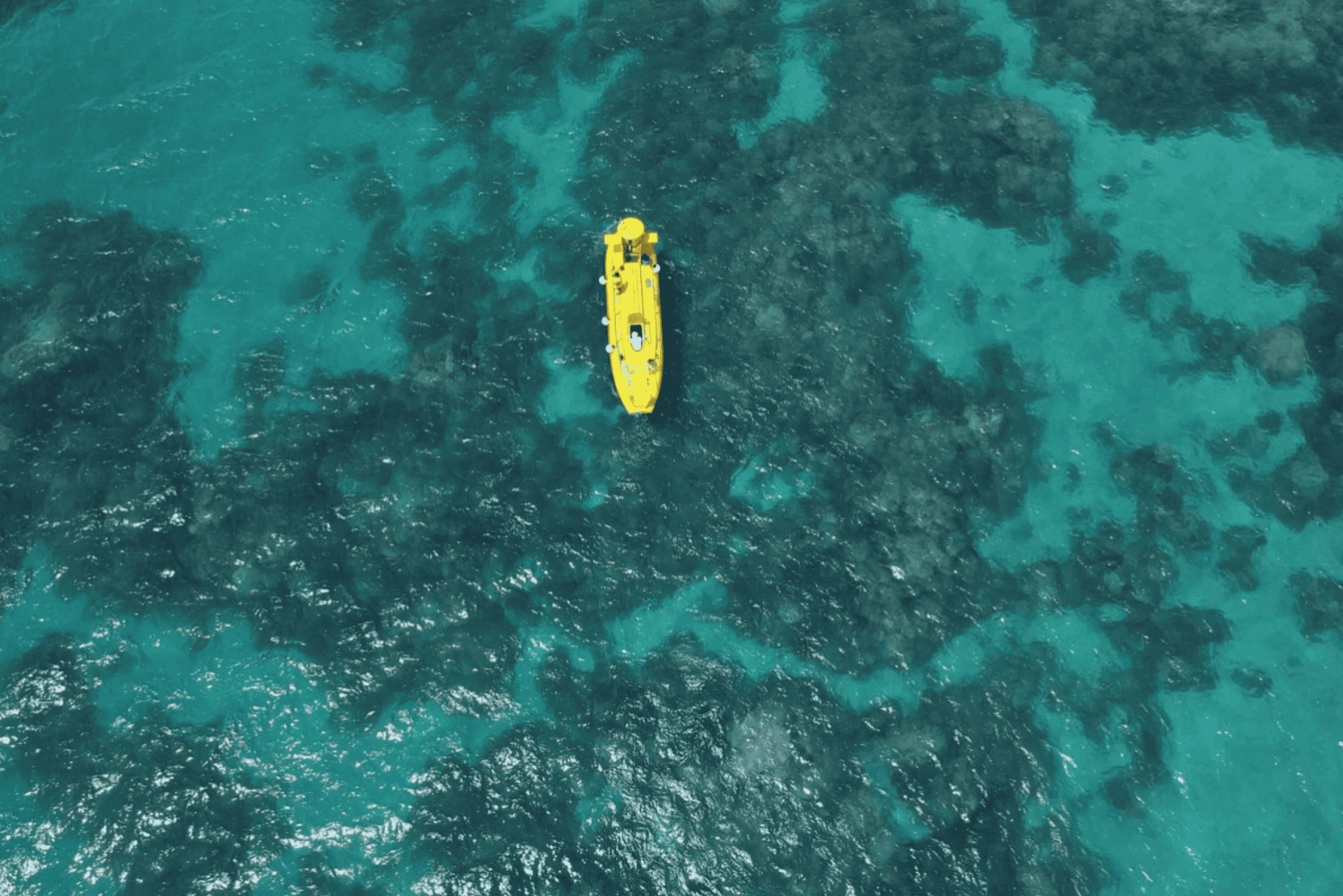 Zanzibar: Wycieczka półpodwodną łodzią z podwodnymi widokami