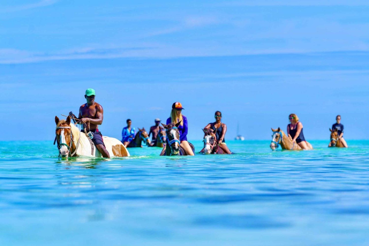 Zanzibar Signature Adventure – dolfijnen, schildpadden en paarden