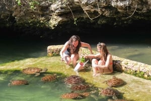 Zanzibar Signature Adventure – Dolphins, Turtles & Horses