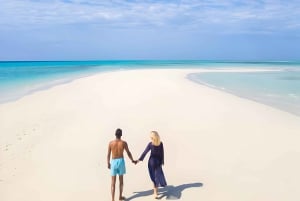 Kizimkazi: Pungume Island Snorkeling & Sandbank Tour