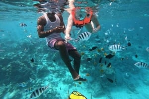 ZANZIBAR: Snorkeling, Maasai Village, & Sea Turtles Swimming