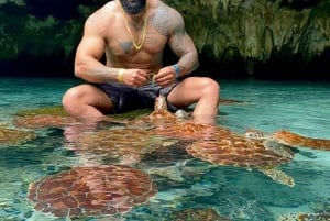 ZANZIBAR: Snorkeling, Maasai Village, & Sea Turtles Swimming