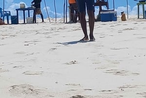 Isola di Pungume, Zanzibar, snorkeling, banco di sabbia, pranzo BBQ