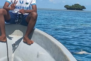 Isola di Pungume, Zanzibar, snorkeling, banco di sabbia, pranzo BBQ