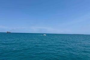 Zanzibar: nurkowanie z rurką i rejs łodzią dhow o zachodzie słońca z kolacją