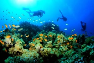 Zanzibar: mergulho com snorkel até tumbatu - barco particular