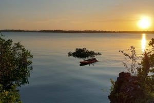 Zanzibar: Sielukas SUP-/kajakkiseikkailu mangrove-lahtella