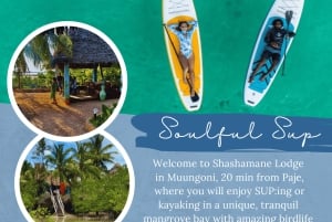 Zanzibar: Sielukas SUP-/kajakkiseikkailu mangrove-lahtella