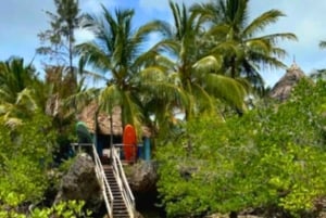Zanzibar: Sielukas SUP-/kajakkiseikkailu mangrove-lahtella