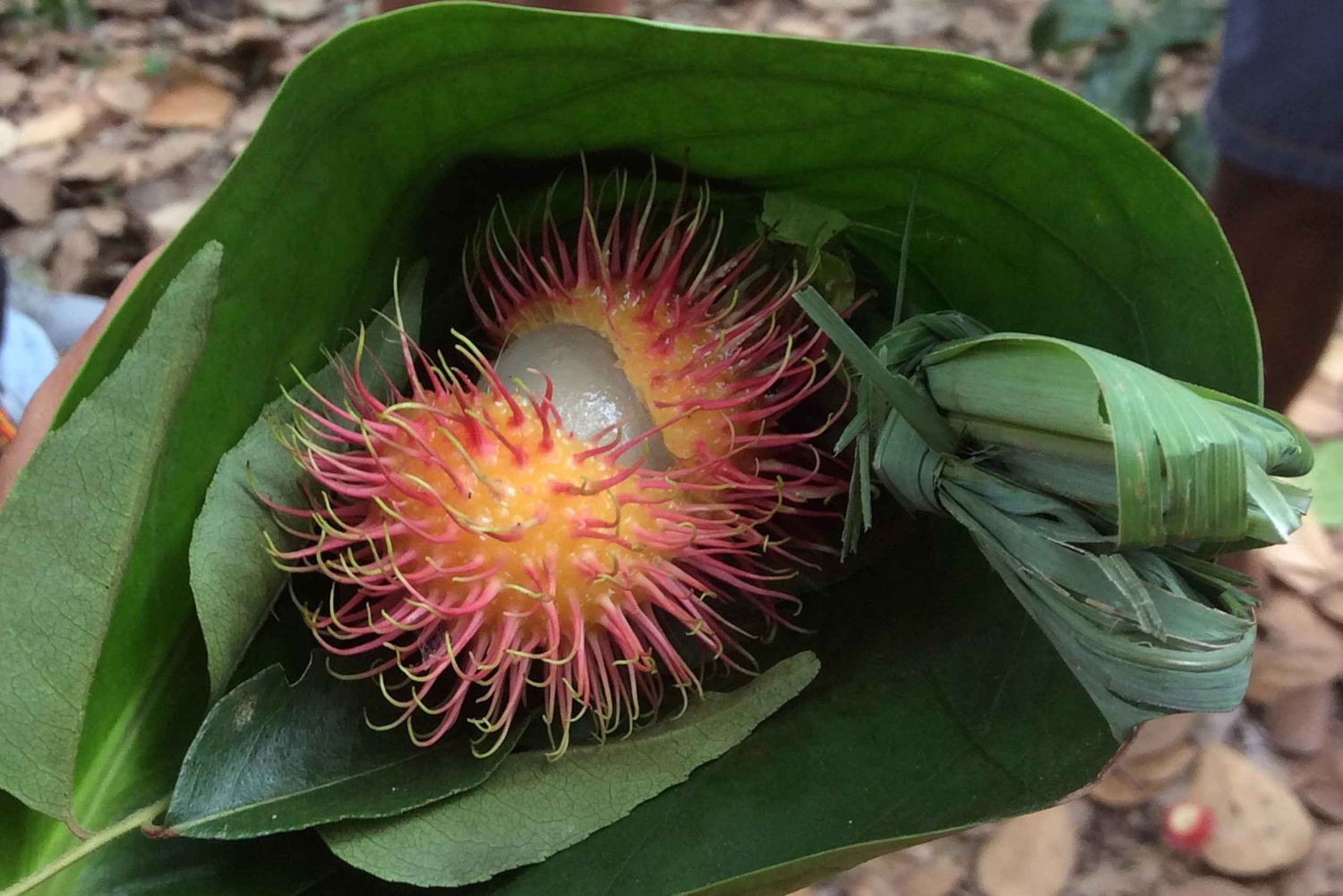 Zanzibar : aventure épicée avec déjeuner