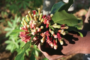 Zanzibar Spice Blending Tour, traditionel frokostpause