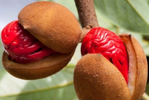 Zanzibar Spice Blending Tour, traditionel frokostpause