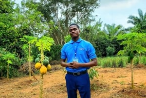 ザンジバル：スパイス農園ツアー、ココナッツ・クライミング、地元のランチをお楽しみください