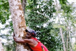 Zanzibar: Spice Farm and Sea Turtle Sanctuary Tour