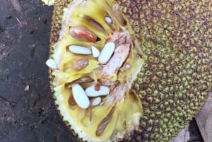Zanzíbar:Stone Town y Granja de Especias Tour Privado Almuerzo Incluido