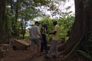 Zanzíbar:Stone Town y Granja de Especias Tour Privado Almuerzo Incluido