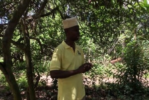 Zanzíbar:Stone Town y Granja de Especias Tour Privado Almuerzo Incluido