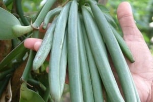 Zanzibar: Farma przypraw i lekcja gotowania z lunchem